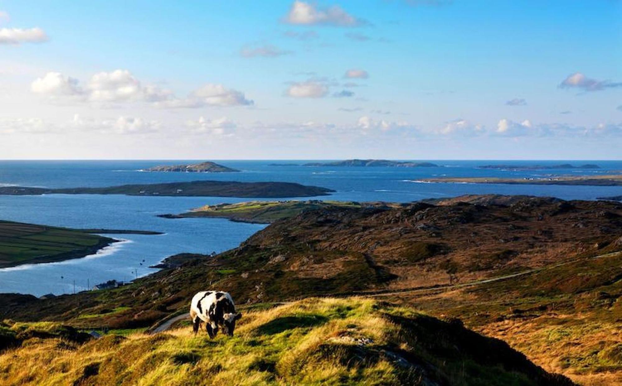 5 Courthouse Square Clifden Leilighet Eksteriør bilde
